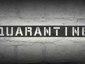 Questions from Quarantine